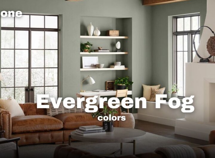 What Colors Go with Evergreen Fog