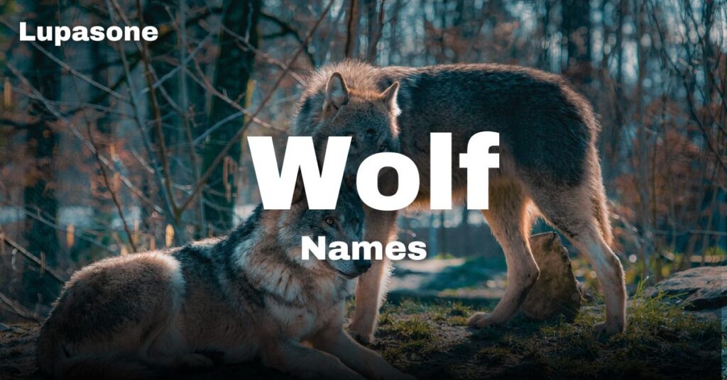 Wolf Names