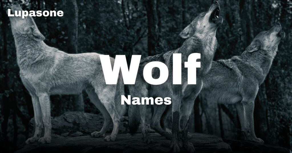 Wolf Names