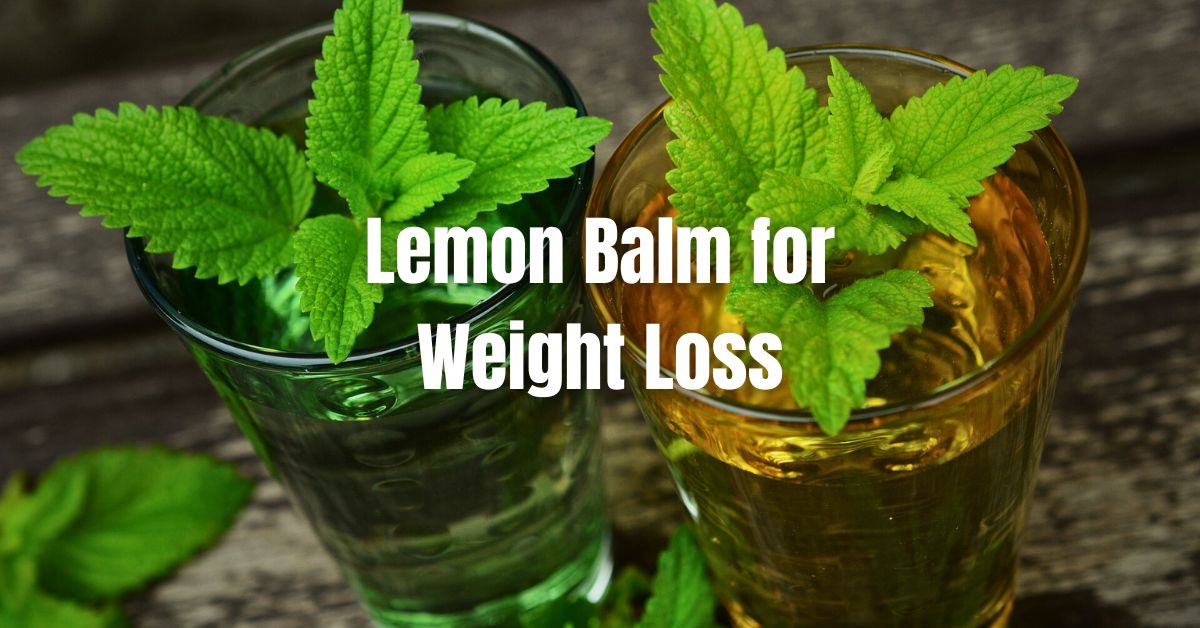 Lemon Balm for Weight Loss