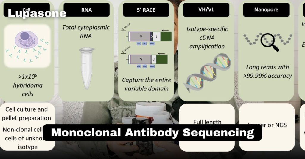 Monoclonal Antibody Sequencing