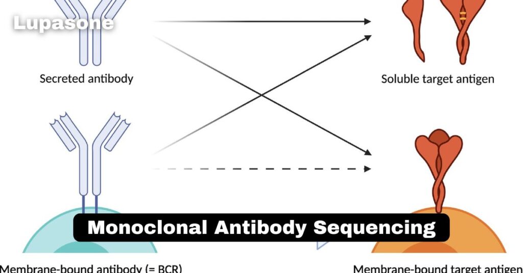 Monoclonal Antibody Sequencing