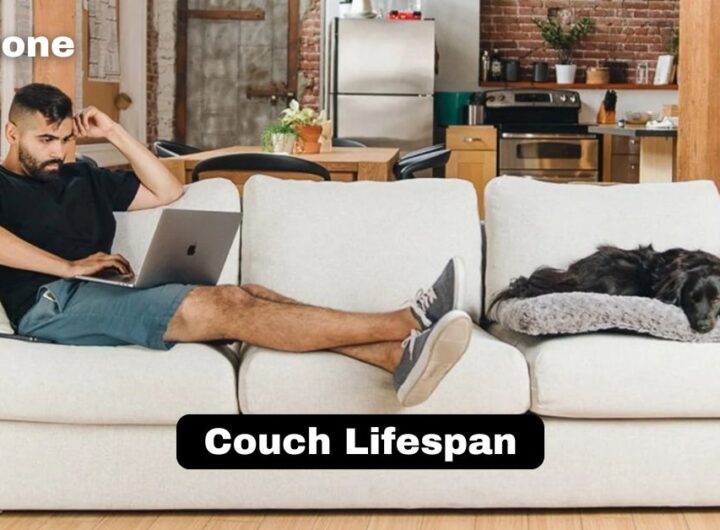 Couch Lifespan